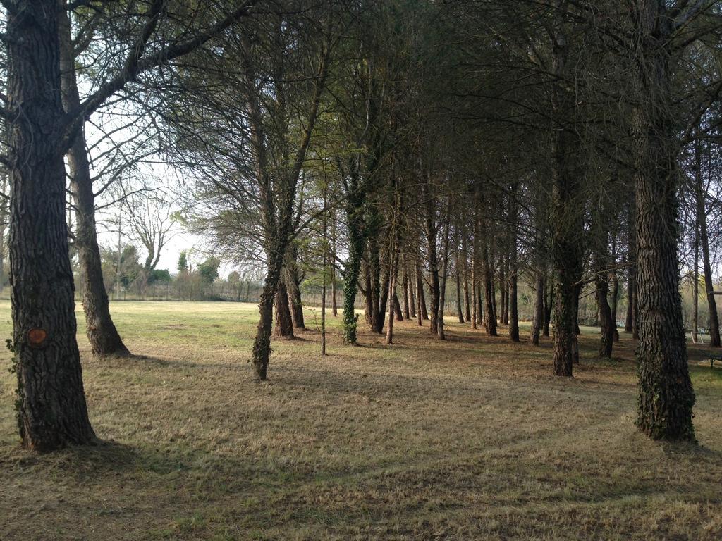 Le Mas De Trevouse Saint-Saturnin-lès-Avignon Eksteriør bilde