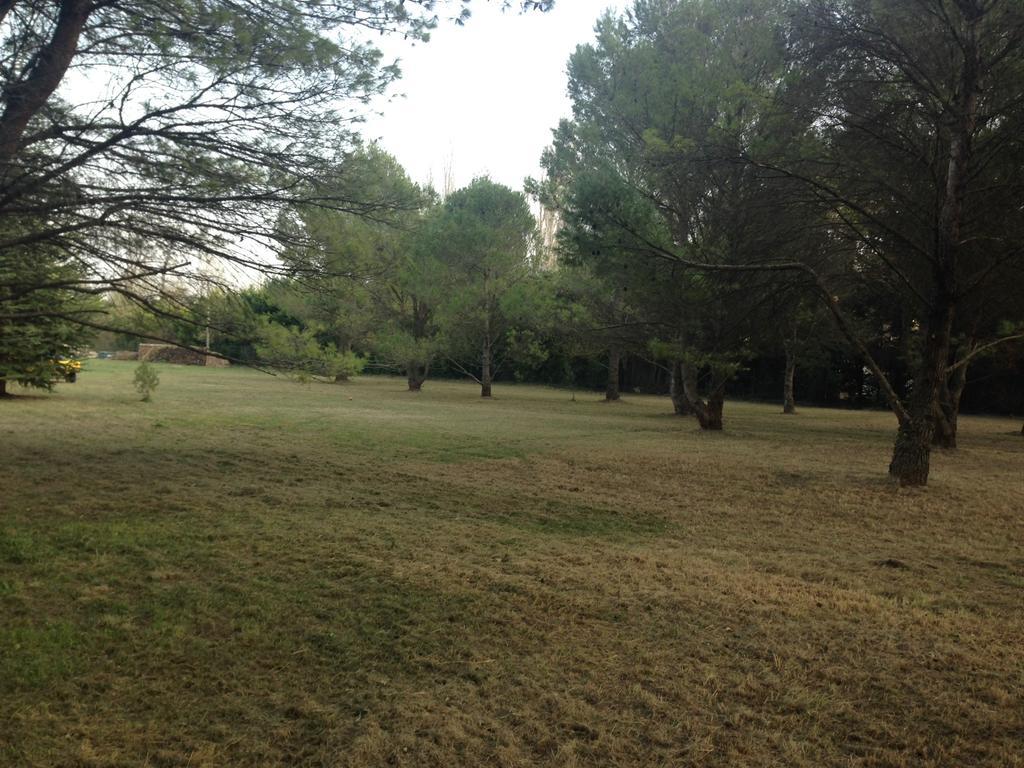 Le Mas De Trevouse Saint-Saturnin-lès-Avignon Eksteriør bilde